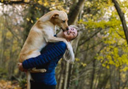 Il cane ci lecca, che vuol dire